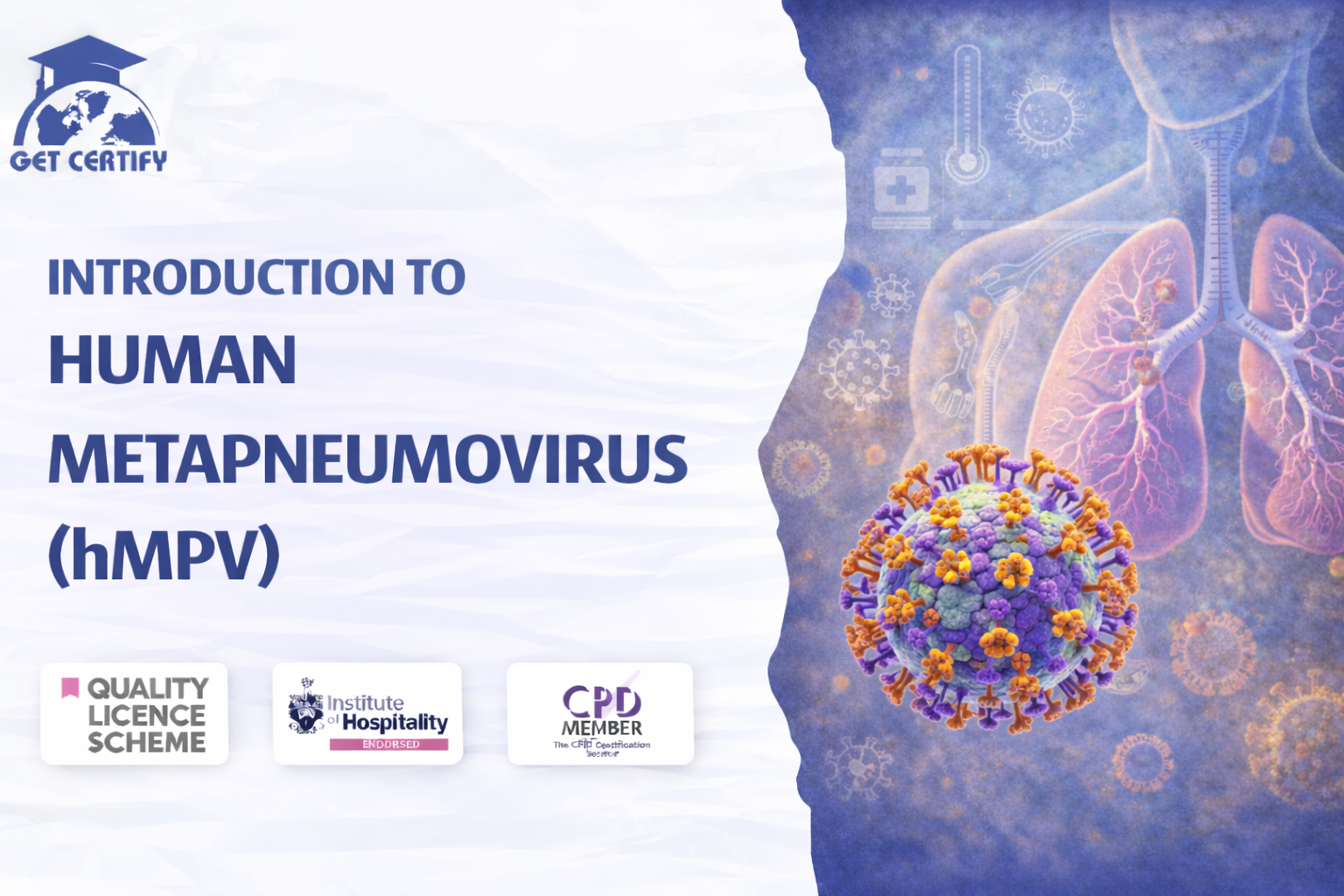 Introduction to Human Metapneumovirus (hMPV)
