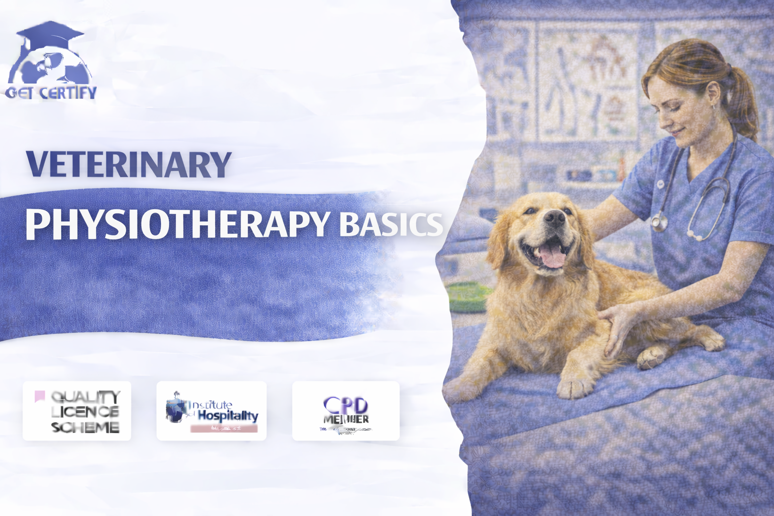 Veterinary Physiotherapy Basics